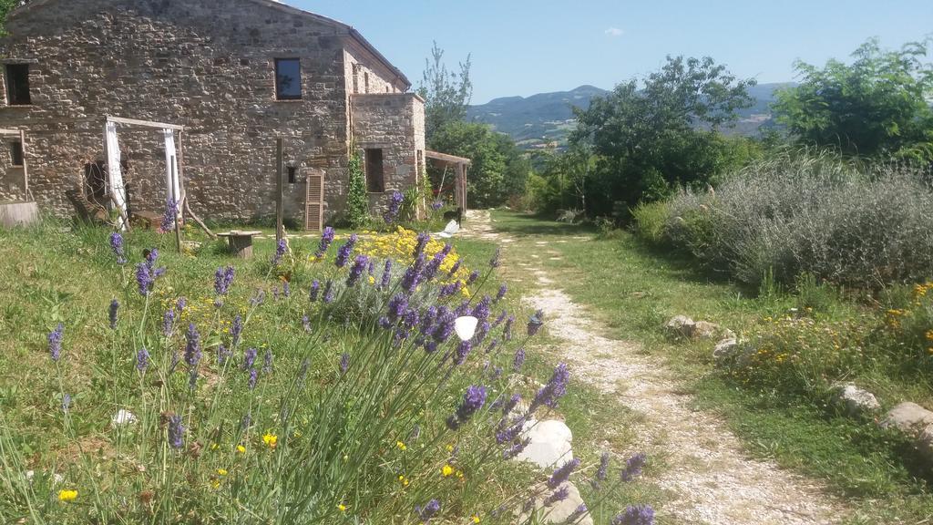 Novafeltria Sasso Erminia R&B Ecosostenibile المظهر الخارجي الصورة
